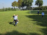 Mini Toernooitje op Sportpark Het Springer met S.K.N.W.K. JO7 en De Jonge Spartaan JO7 (65/174)